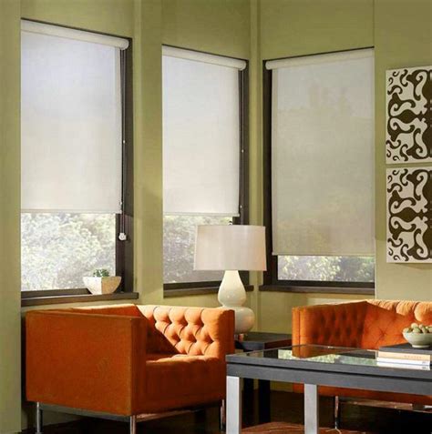 Paper shades for windows - Paper blinds and shades with a pleated design give your windows a fresh look and a unique texture. These window coverings are really lightweight, so they're a cinch to raise and lower. Styles range from slightly opaque to room darkening. Printed blinds add a fun touch to your room. Look for uniquely made paper blinds and shades with a fantastic ... 
